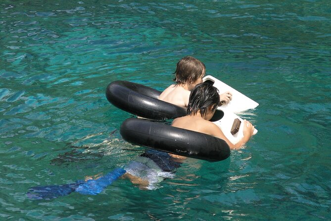 Kealakekua Bay Afternoon Snorkel: Family Fun on the Kona Coast - Who should book this afternoon outing?