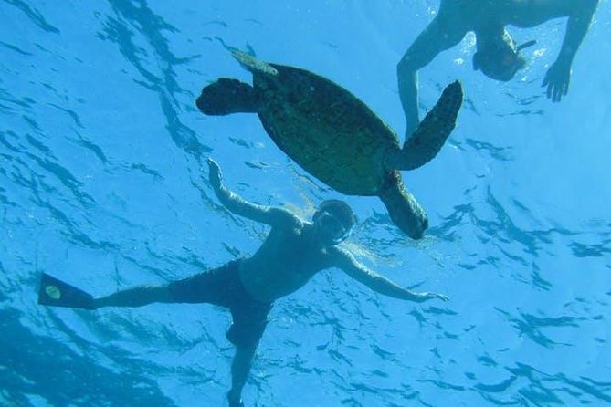 Kealakekua Bay Captain Cook Snorkel Exclusive - Why Kealakekua Bay is the snorkeling focus