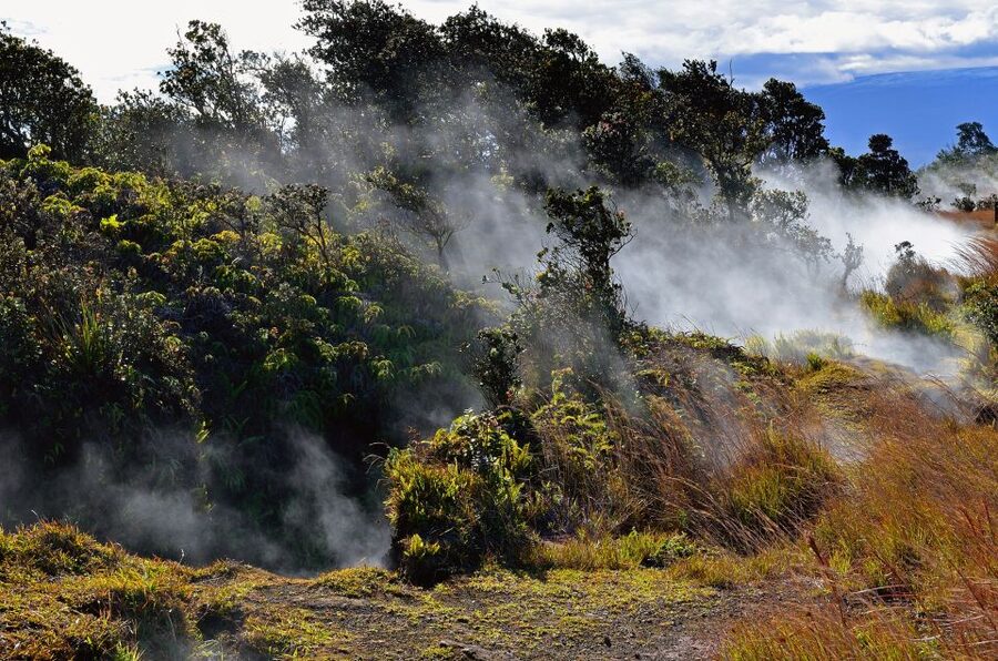 Kilauea: Volcanoes National Park Guided Hike - What the four-mile route feels like