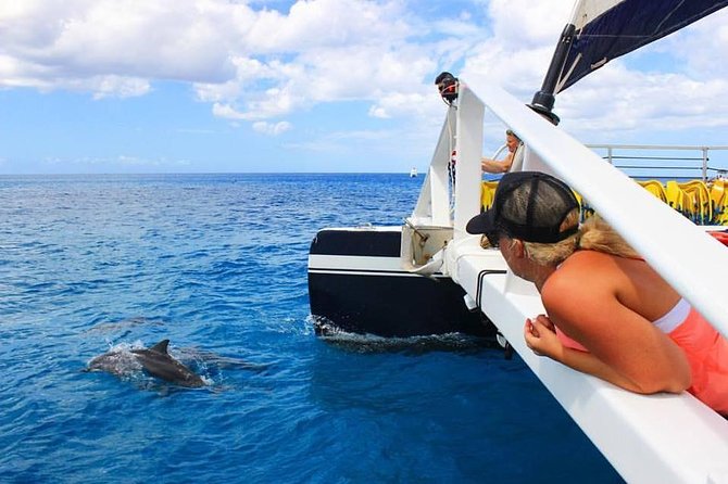 Ko Olina Catamaran Sail and Snorkel with Lunch - Why Ko Olina is a smart place to sail