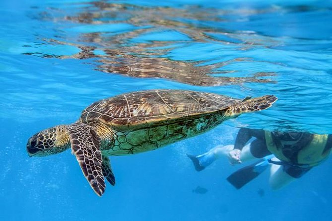 Ko Olina Catamaran Sail and Snorkel with Lunch - What the $195 price includes