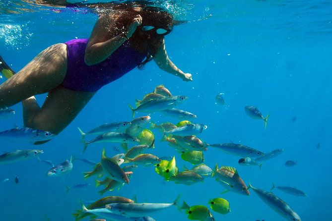 Ko Olina Catamaran Sail and Snorkel with Lunch - Who will enjoy this cruise most