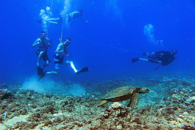 Ko Olina Catamaran Sail and Snorkel with Lunch - Timing, weather, and possible cancellations