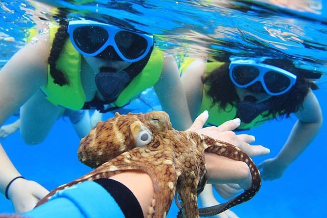 Ko Olina Catamaran Sail and Snorkel with Lunch - The sail along Oahu’s west coast