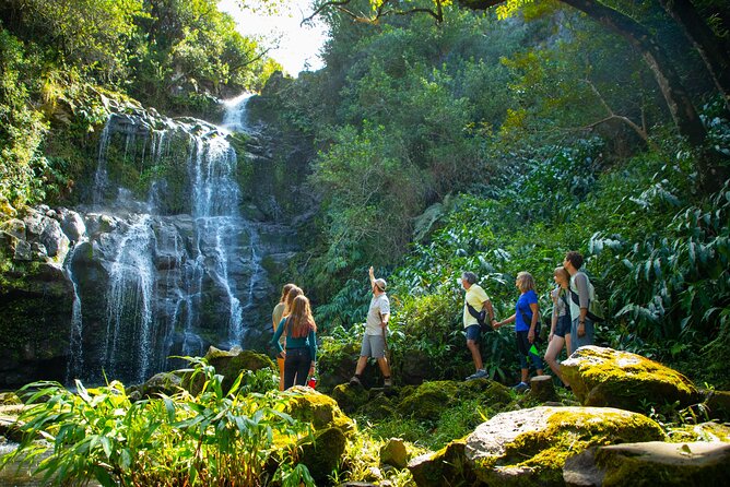 Kohala Waterfalls Small Group Adventure Tour - A seven-hour route into North Kohala
