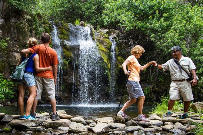 Kohala Waterfalls Small Group Adventure Tour - Lunch above Mokulanikila