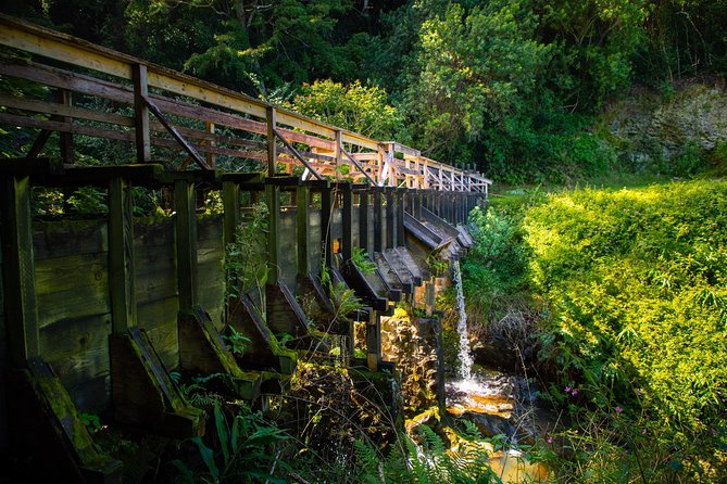 Kohala Waterfalls Small Group Adventure Tour - Who will enjoy it most