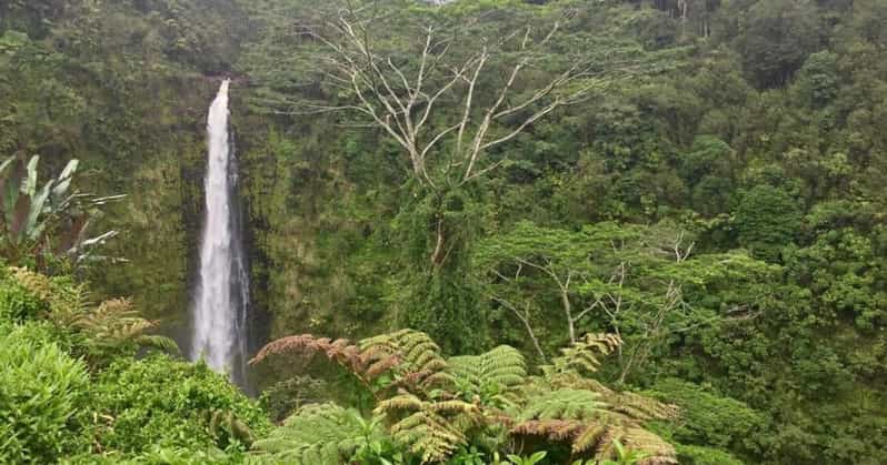 Kona: Big Island Big Volcano Adventure - Hilo, then the Kilauea area