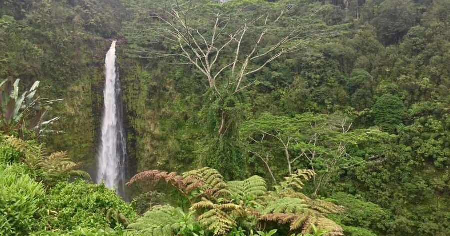 Kona: Big Island Big Volcano Adventure - Returning over Saddle Road