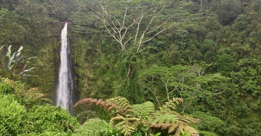 Kona: Big Island Big Volcano Adventure - Should you book the Big Island Big Volcano Adventure?