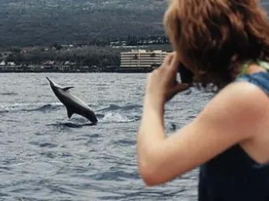 Kona: Captain Cook Snorkel Tour - What the $91 price really covers