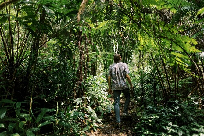 Kona Cloud Forest Sanctuary Montane Jungle Tour (2.5 hrs) - Key things to know before you go