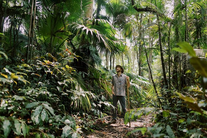 Kona Cloud Forest Sanctuary Montane Jungle Tour (2.5 hrs) - Is $149 a fair price?