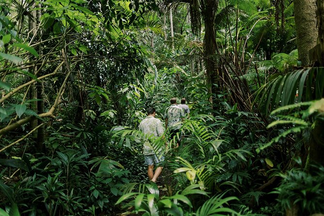 Kona Cloud Forest Sanctuary Montane Jungle Tour (2.5 hrs) - Who will enjoy the sanctuary most