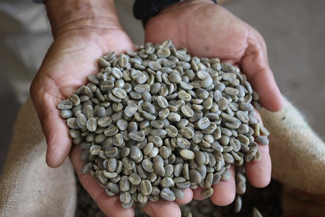 Kona Coffee Farm Tour from Tree to Tasting Room - Is the $5 price really good value?