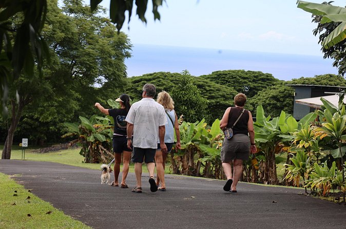 Kona Coffee Farm Tour from Tree to Tasting Room - Timing, meeting point, and booking advice