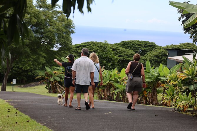 Kona Coffee Farm Tour from Tree to Tasting Room - My take: should you book this coffee farm visit?