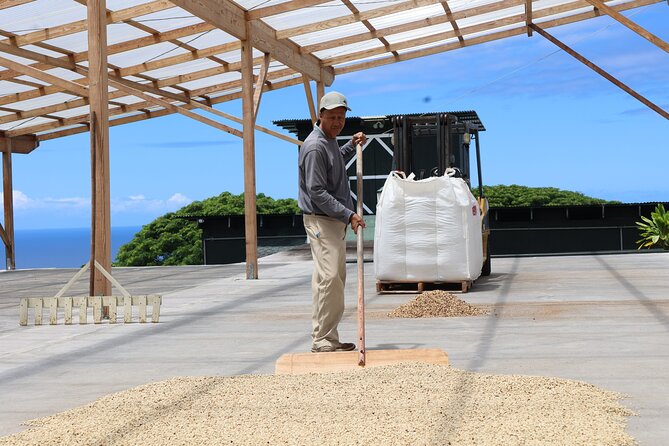 Kona Coffee Farm Tour from Tree to Tasting Room - Walking from the coffee trees to the mill