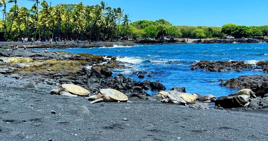 Kona: Kilauea Summit to Shore - Who should book this Big Island volcano day