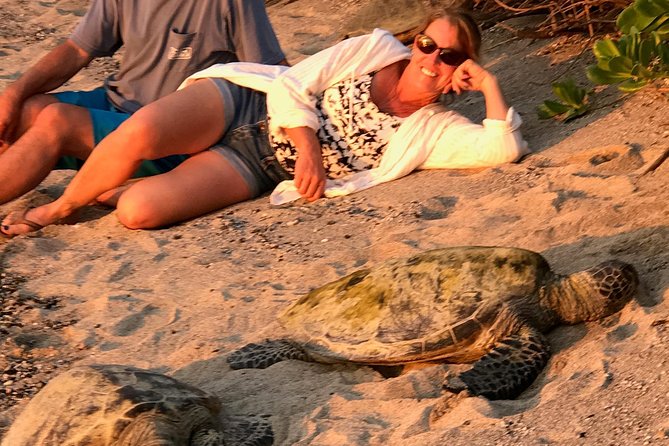 Kona Shore Excursion: Sea Turtles, Historic Kona & Coffee - A local lunch in Honaunau