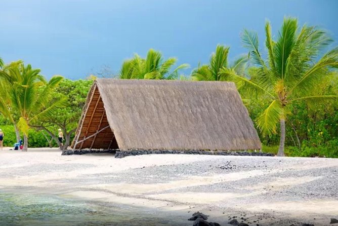 Kona Shore Excursion: Sea Turtles, Historic Kona & Coffee - The turtle walk to the white-sand beach