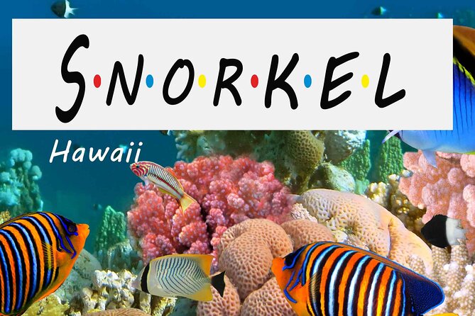 Kona Shore Excursion: Wild Dolphin Reefs Snorkel and Sea Caves - Kealakekua Bay and the Captain Cook Monument