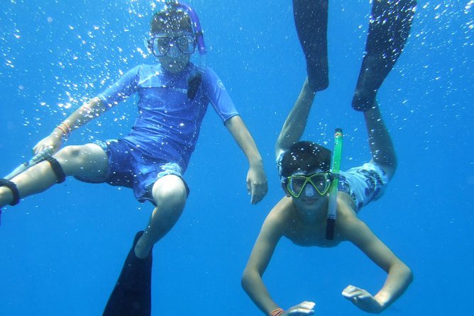 Kona Shore Excursion: Wild Dolphin Reefs Snorkel and Sea Caves - Timing, pickup, and cruise-day logistics