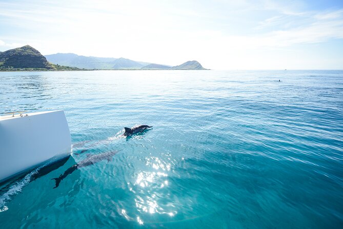 Kona Signature Catamaran Sunset Sail - What the Kona coastline looks like from the water
