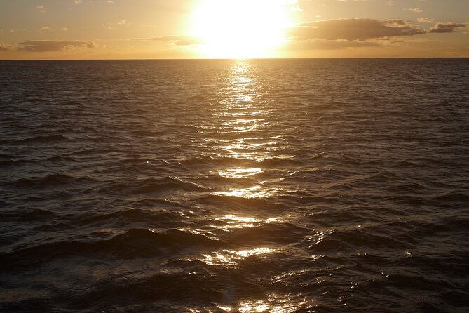 Kona Signature Catamaran Sunset Sail - Sunset timing, sea conditions, and comfort