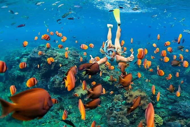 Kona Snorkel Tour: Captain Cook Reef Snorkel, Dolphin & Sea Caves - Snorkeling near the Captain Cook Monument