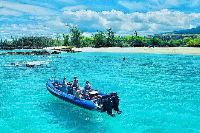Kona Snorkel Tour: Captain Cook Reef Snorkel, Dolphin & Sea Caves - Dolphins and whales are bonuses, not the purpose