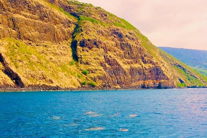 Kona Snorkel Tour: Captain Cook Reef Snorkel, Dolphin & Sea Caves - What the $71.10 price really buys