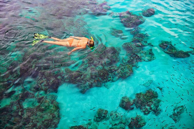 Kona Snorkel Tour: Captain Cook Reef Snorkel, Dolphin & Sea Caves - Who should book this Kona snorkel trip?
