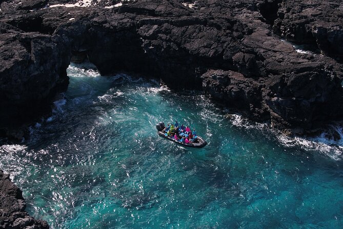 Kona Snorkeling: Beat the Crowd to Kealakekua Bay - Starting at Captain Zodiac in Kona