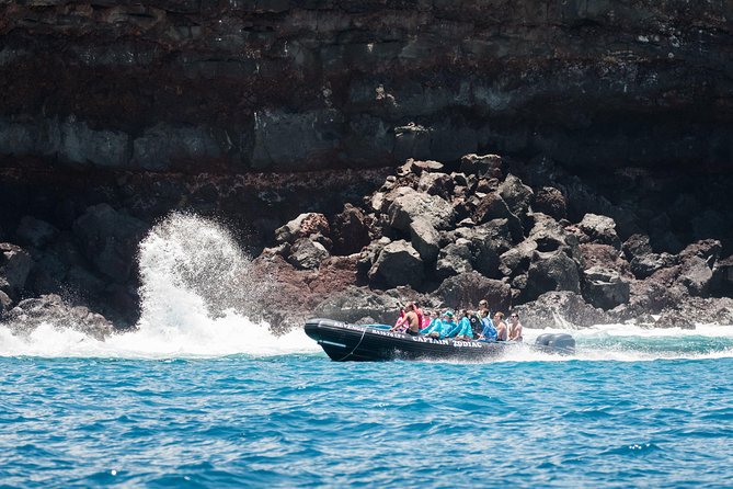 Kona Snorkeling: Beat the Crowd to Kealakekua Bay - The Honokohau Marina boat launch