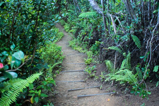 Kualoa Ranch: Jungle Expedition Tour - What the 90-minute schedule feels like