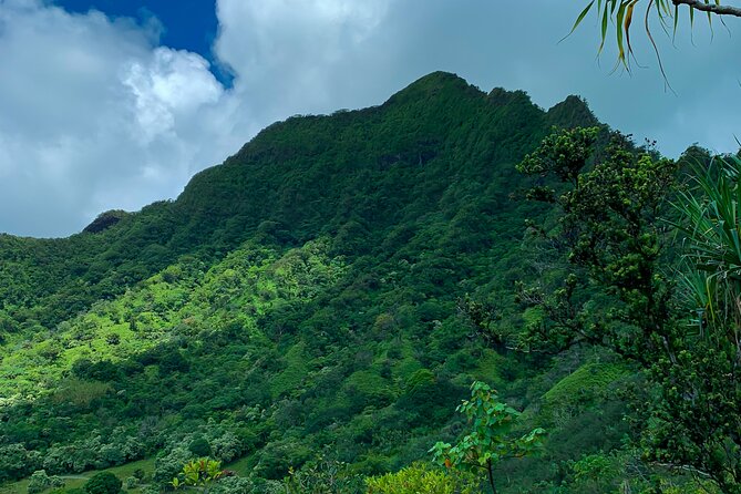 Kualoa Ranch: Jungle Expedition Tour - Practical details before you go
