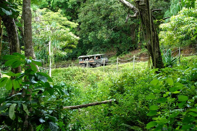 Kualoa Ranch: Jungle Expedition Tour - The ranch roads and jungle trails
