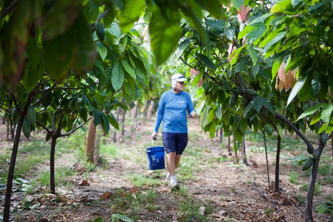 Lahaina: Maui Ku'ia Estate Guided Cacao Farm Tour and Tasting - Is $99.48 a fair price?
