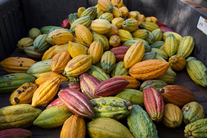 Lahaina: Maui Ku'ia Estate Guided Cacao Farm Tour and Tasting - Who will enjoy this Maui chocolate experience?