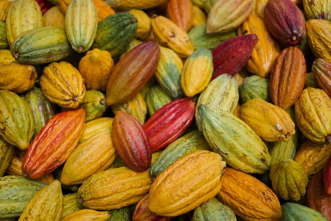 Lahaina: Maui Ku'ia Estate Guided Cacao Farm Tour and Tasting - Timing, transport, and cancellation details