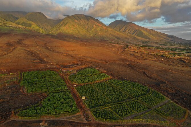 Lahaina: Maui Ku'ia Estate Guided Cacao Farm Tour and Tasting - Should you book the Ku’ia Estate cacao tour?