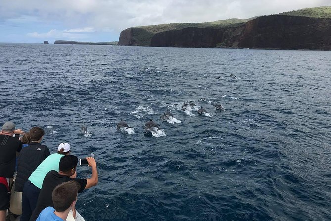 Lanai Snorkel and Dolphin Watch from Maalaea - Why Lanai makes this more than a basic snorkel trip