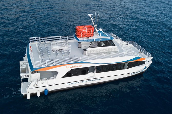 Lanai Snorkel and Dolphin Watch from Maalaea - Is $183.25 a good value?