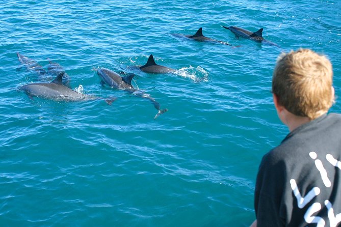 Lanai Snorkel and Dolphin Watch from Maalaea - Leaving Maʻalaea Harbor on a comfortable catamaran