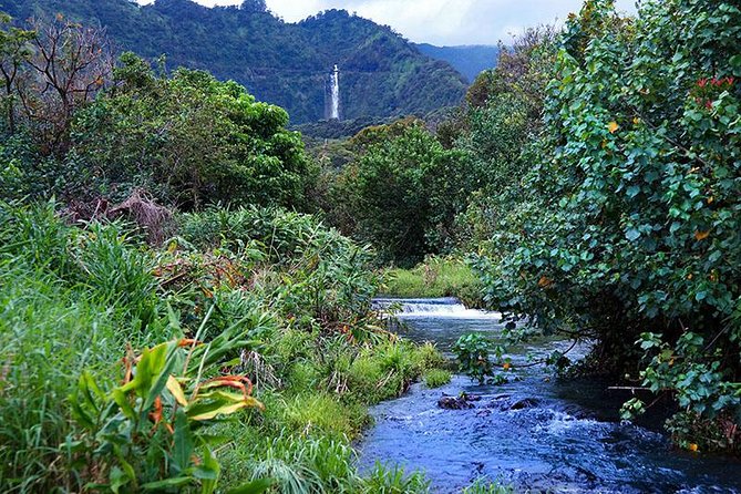 Luxury Helicopter Experience with Hana Rainforest Landing - The flight begins at Kahului Airport