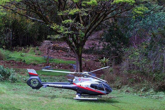 Luxury Helicopter Experience with Hana Rainforest Landing - The Wailua Valley rainforest landing