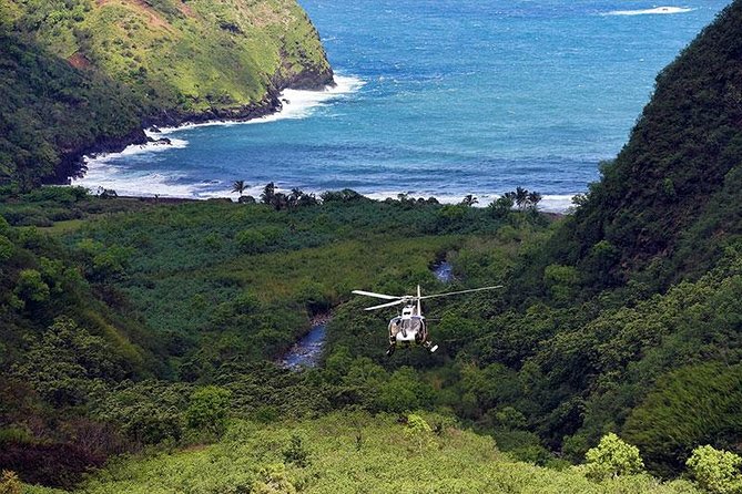 Luxury Helicopter Experience with Hana Rainforest Landing - Tips for making the flight better