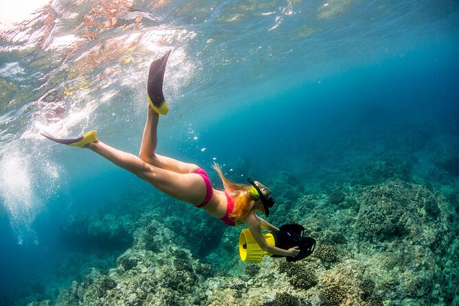 Luxury Kona Coast Snorkel Tour Including Lunch - Is the $204.84 price fair?