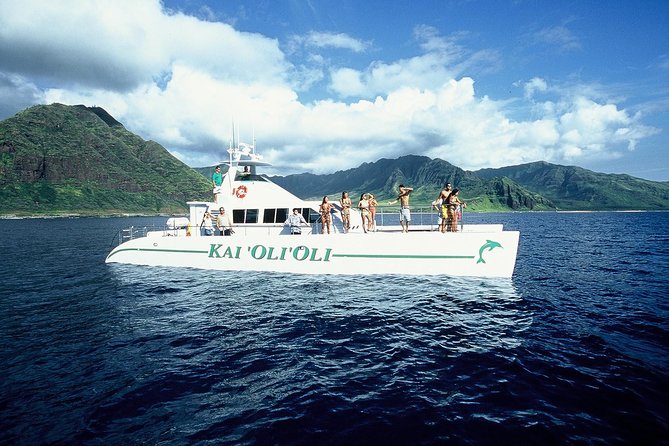 Luxury Snorkel Cruise, Local Buffet with Whale & Dolphin Watch - Searching the west coast for whales and dolphins